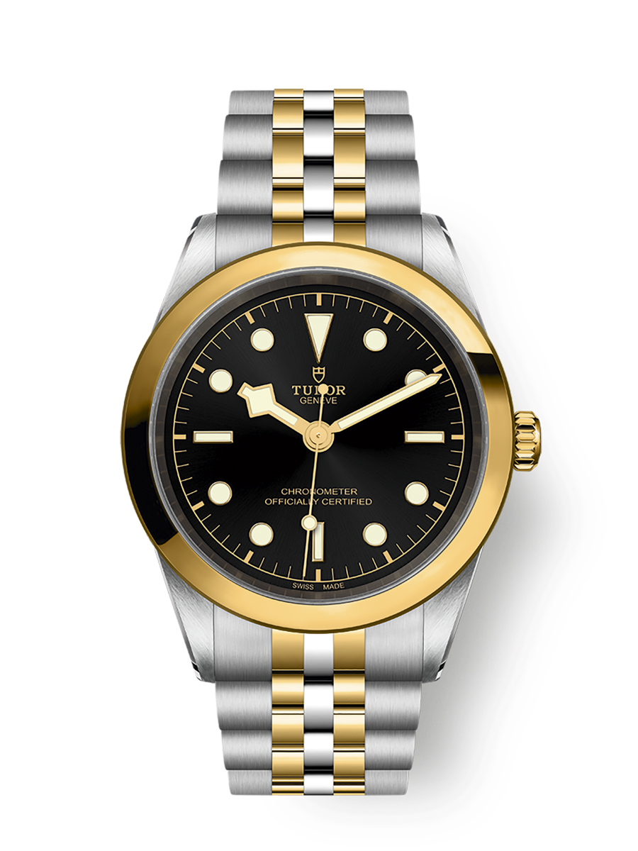 TUDOR Black Bay 41 S&G kaufen (M79683-0001) - Juwelier Techel 