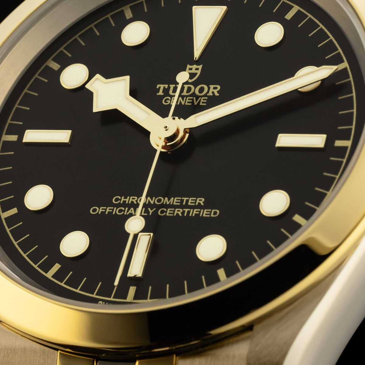 TUDOR Black Bay 41 S&G kaufen (M79683-0001) - Juwelier Techel 
